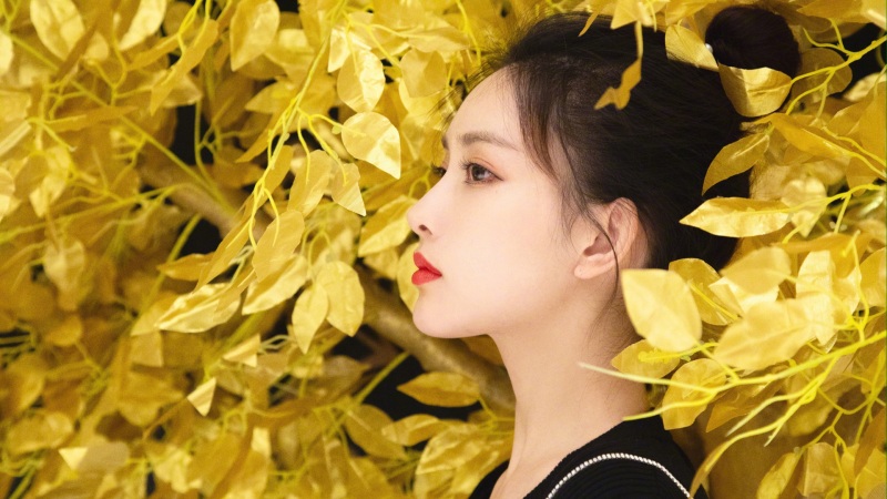 奇迹时代4配置要求高吗 最低推荐配置要求介绍